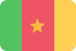 Marketing online Camerun