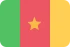 Marketing online Camerun