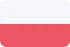Marketing online Polonia