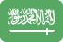 Marketing online Arabia Saudită