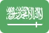 Marketing online Arabia Saudită
